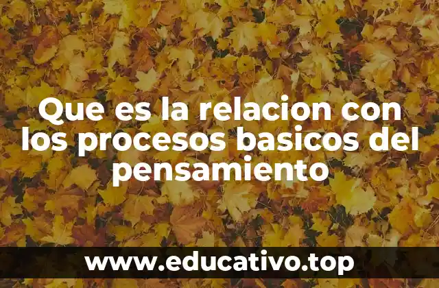 Que es la relacion con los procesos basicos del pensamiento