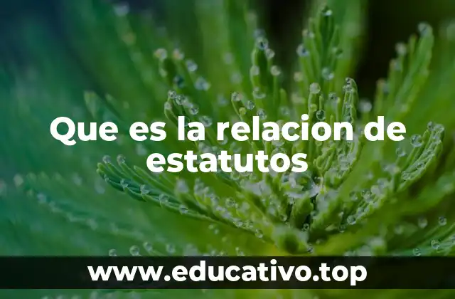 Que es la relacion de estatutos