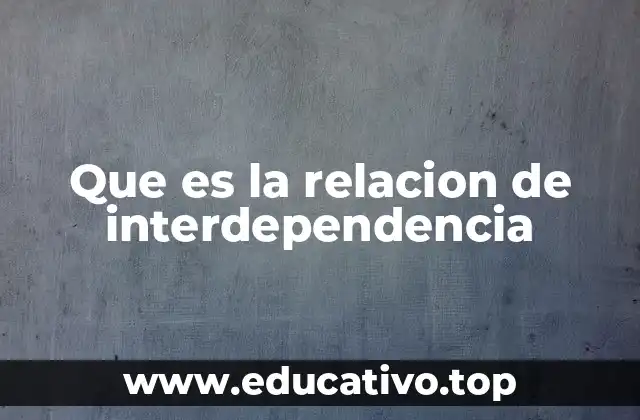 Que es la relacion de interdependencia