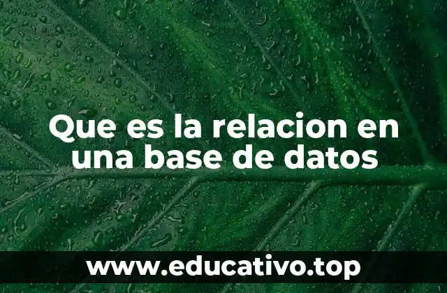 Que es la relacion en una base de datos