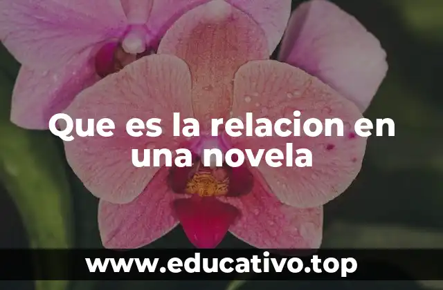 Que es la relacion en una novela