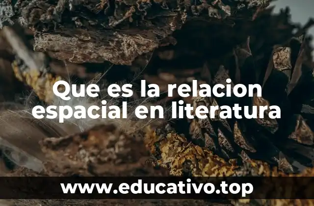 Que es la relacion espacial en literatura