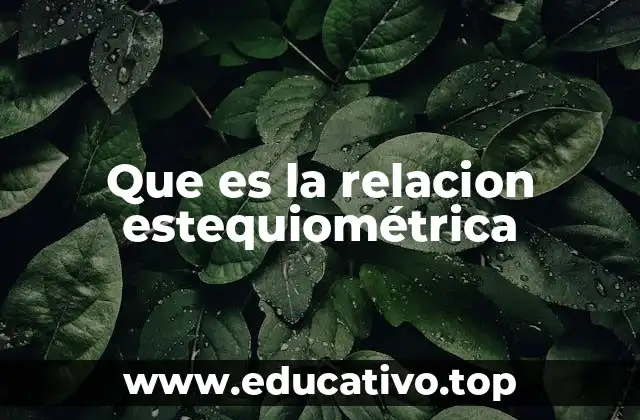 Que es la relacion estequiométrica