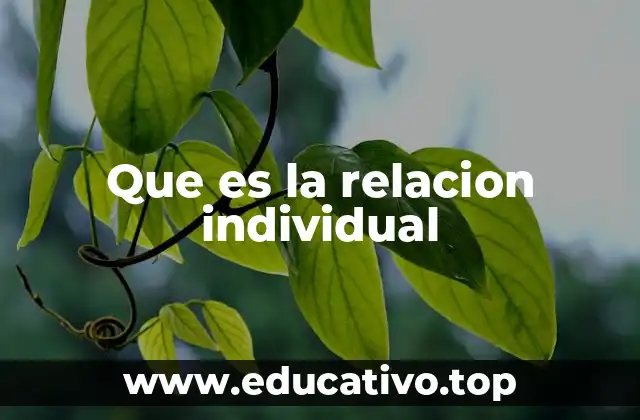 Que es la relacion individual
