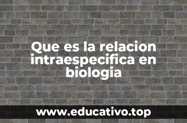 La dinámica social en especies con relaciones intraespecíficas