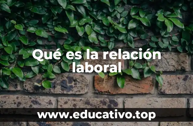 El papel de la relación laboral en el desarrollo económico