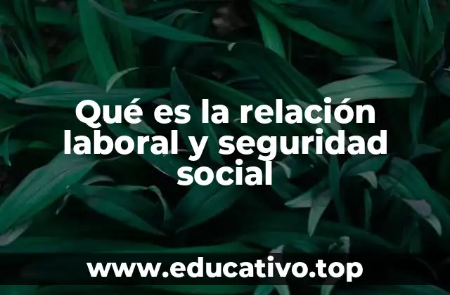 Qué es la relación laboral y seguridad social