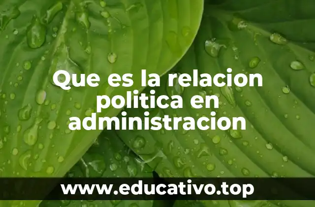 Que es la relacion politica en administracion