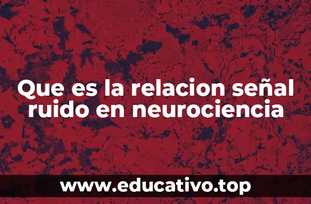 Que es la relacion señal ruido en neurociencia