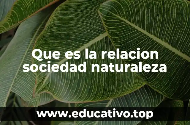 Que es la relacion sociedad naturaleza