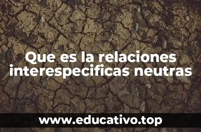 El equilibrio silencioso en la naturaleza