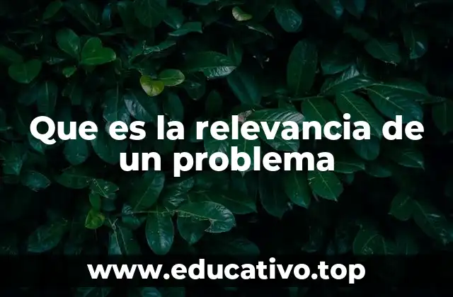 Que es la relevancia de un problema