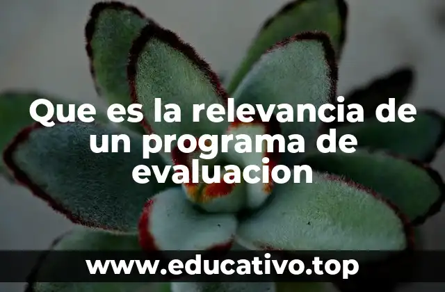 Que es la relevancia de un programa de evaluacion
