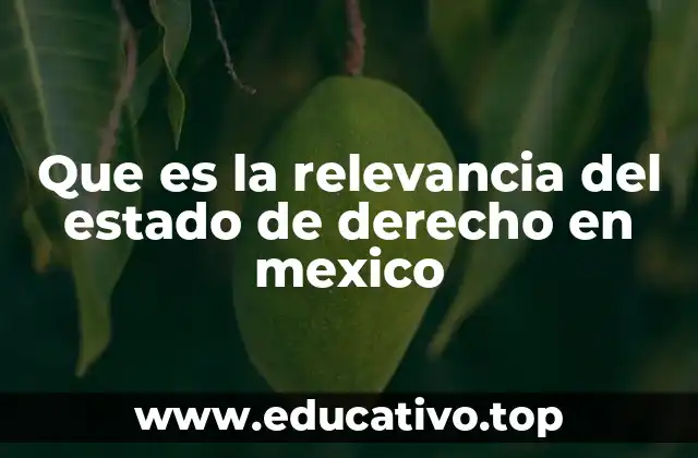 Que es la relevancia del estado de derecho en mexico