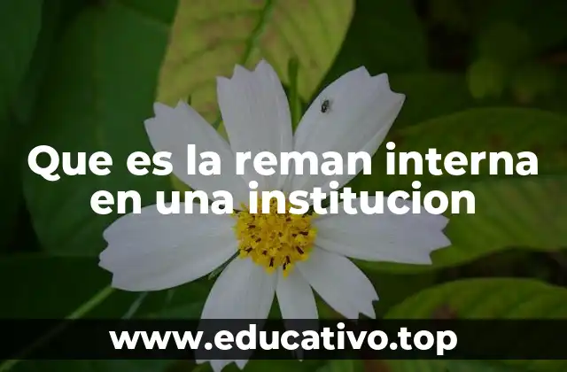 Que es la reman interna en una institucion