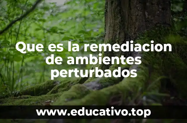 Que es la remediacion de ambientes perturbados
