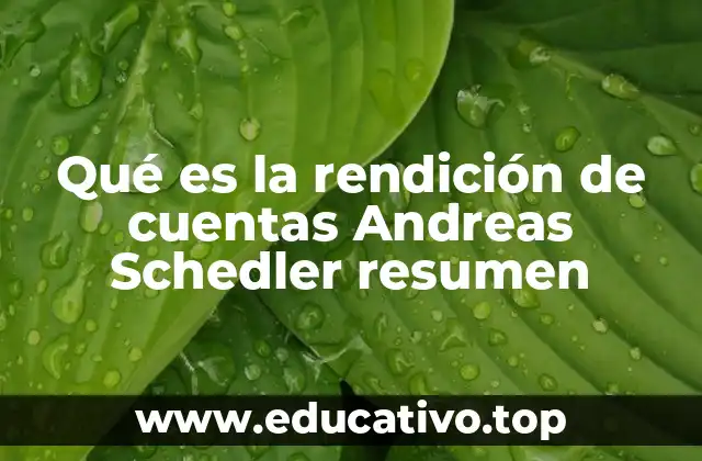 Qué es la rendición de cuentas Andreas Schedler resumen
