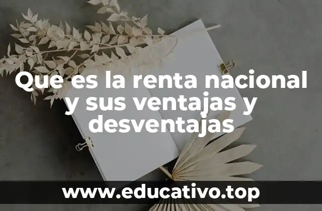 Que es la renta nacional y sus ventajas y desventajas