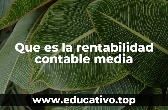 Que es la rentabilidad contable media