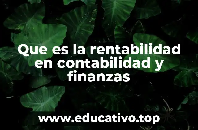 Que es la rentabilidad en contabilidad y finanzas