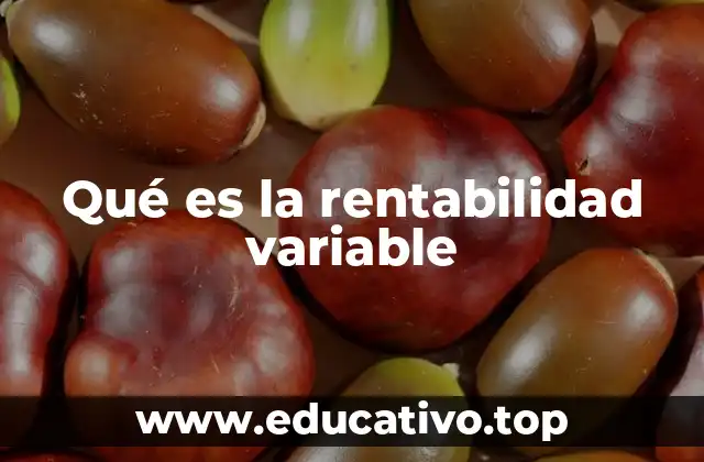 Qué es la rentabilidad variable