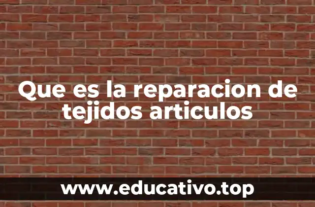 Que es la reparacion de tejidos articulos