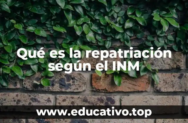 Qué es la repatriación según el INM