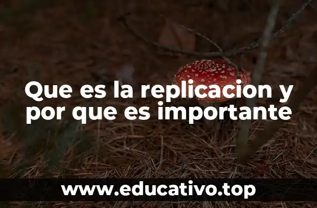 Que es la replicacion y por que es importante