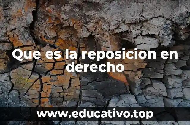 El rol de la reposición en el proceso judicial