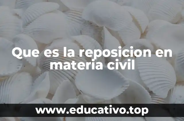 Que es la reposicion en materia civil