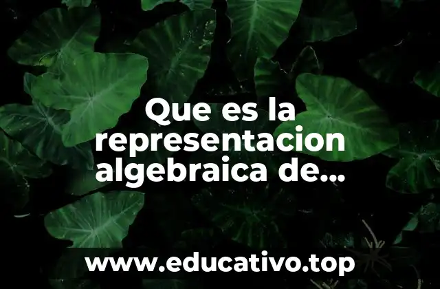 La importancia de la notación algebraica en la programación estructurada