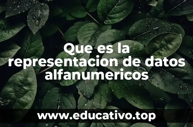 Que es la representacion de datos alfanumericos