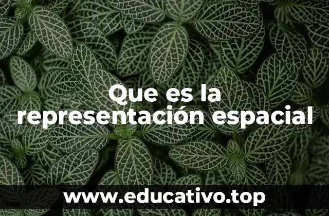 Que es la representación espacial