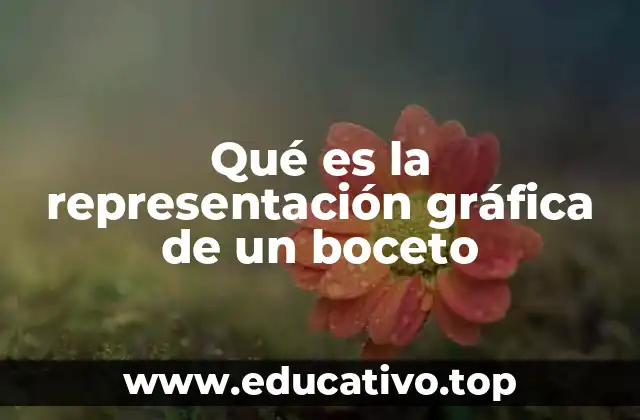 Qué es la representación gráfica de un boceto