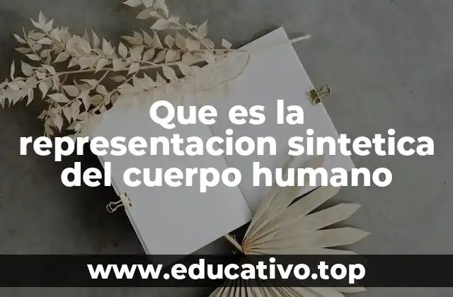 Que es la representacion sintetica del cuerpo humano