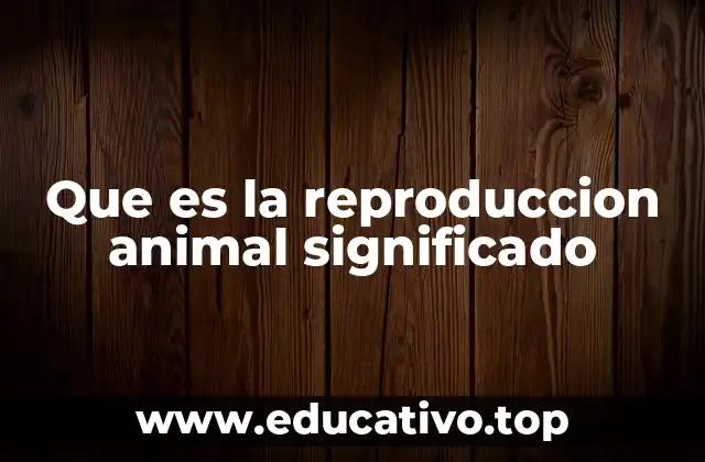 Que es la reproduccion animal significado