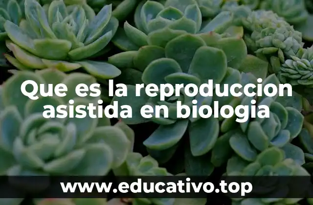 Que es la reproduccion asistida en biologia