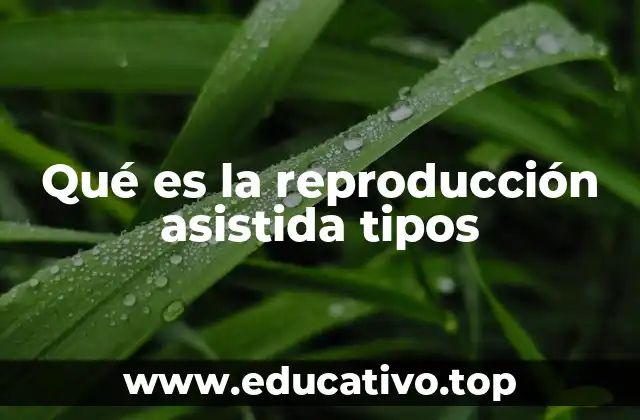 Qué es la reproducción asistida tipos