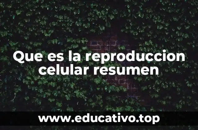 Que es la reproduccion celular resumen