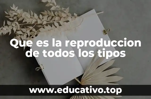 Que es la reproduccion de todos los tipos