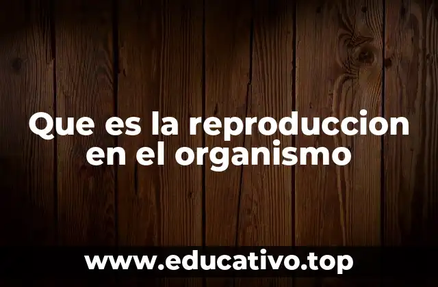 Que es la reproduccion en el organismo