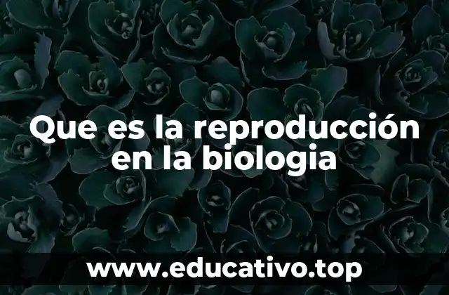 Que es la reproducción en la biologia