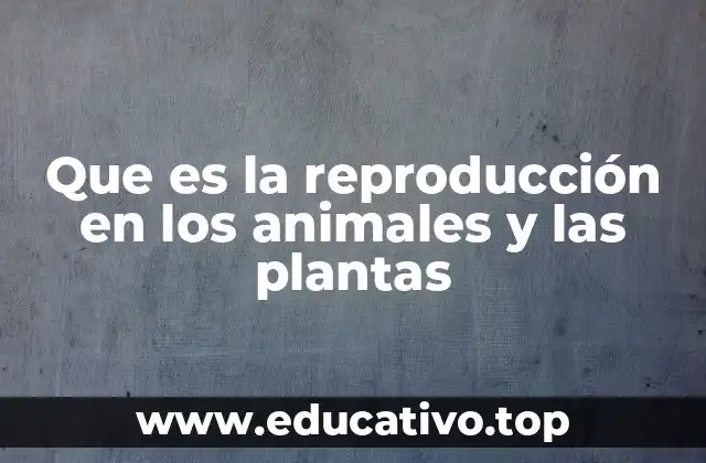 Que es la reproducción en los animales y las plantas
