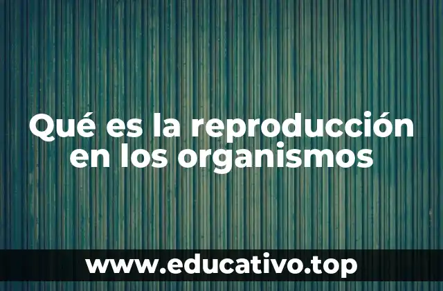 Qué es la reproducción en los organismos