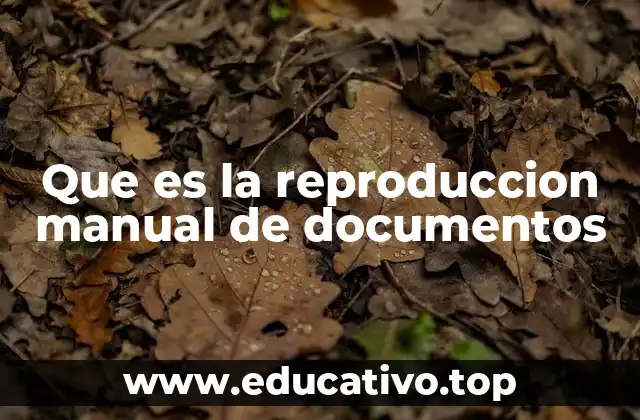 Que es la reproduccion manual de documentos
