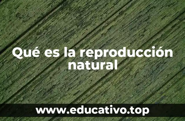 Qué es la reproducción natural