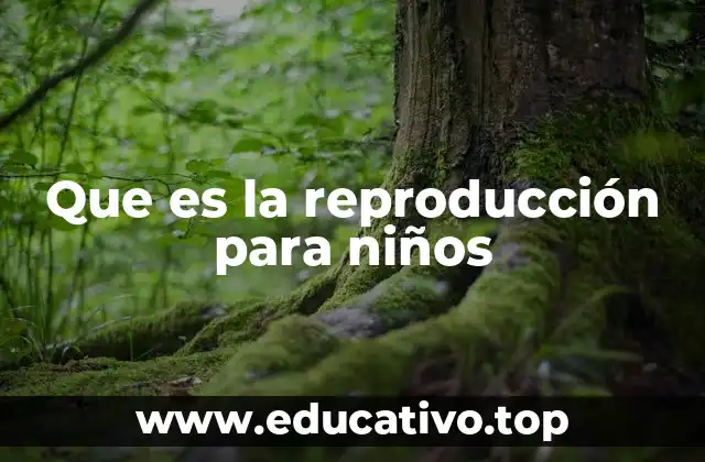 Que es la reproducción para niños