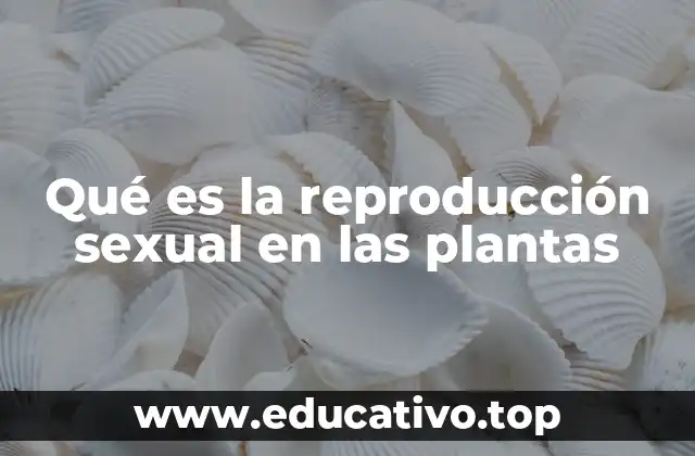 Qué es la reproducción sexual en las plantas