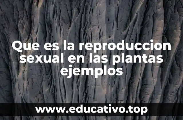 Que es la reproduccion sexual en las plantas ejemplos