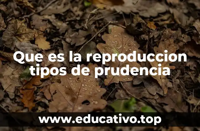 Que es la reproduccion tipos de prudencia